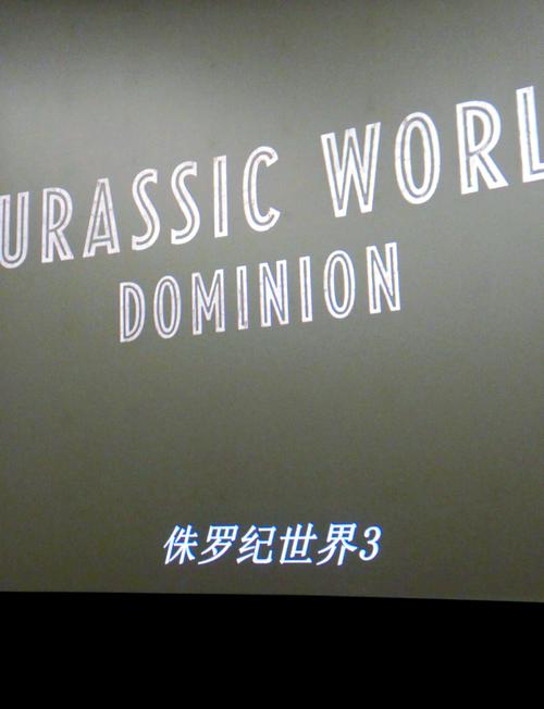 国产乱了露脸精品国产的相关介绍