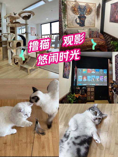少妇色av的相关介绍