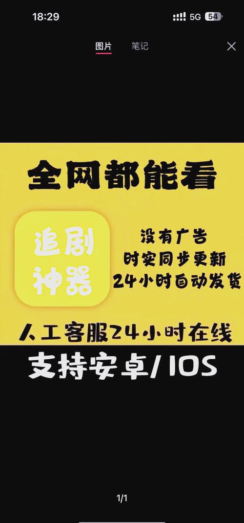 贵妃毛片的相关介绍
