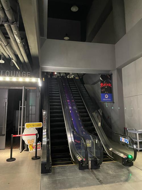 单县影院的相关介绍