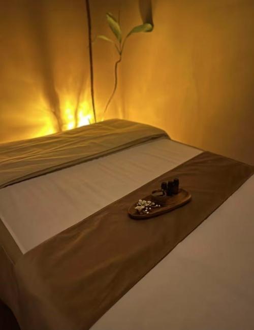 男女性动漫的相关介绍