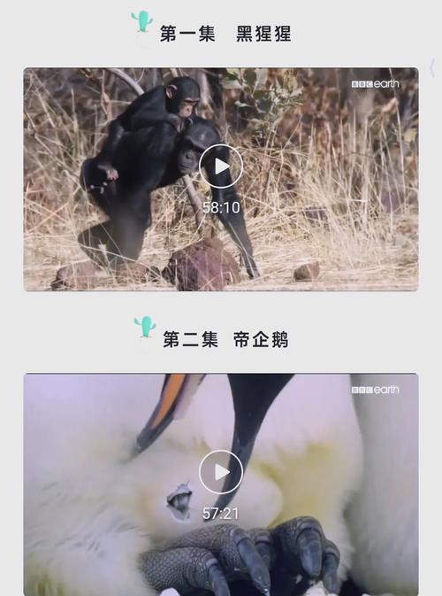 小视频下载app的相关介绍