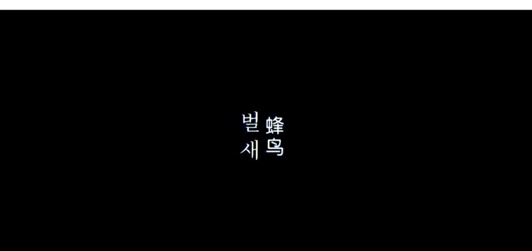 大人看的毛片的相关介绍