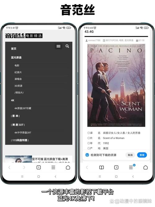 人妻少妇av一区二区三区的相关介绍