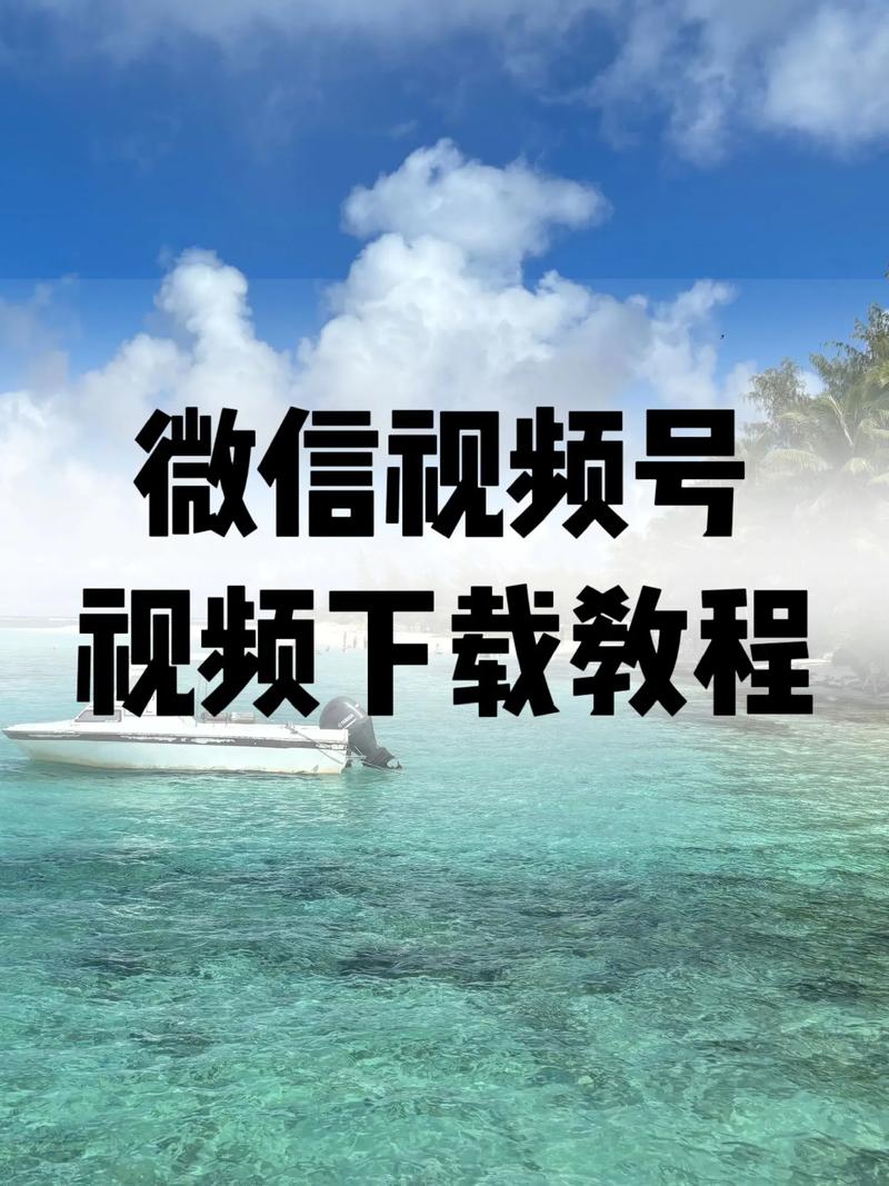 亚洲国产h色的相关介绍