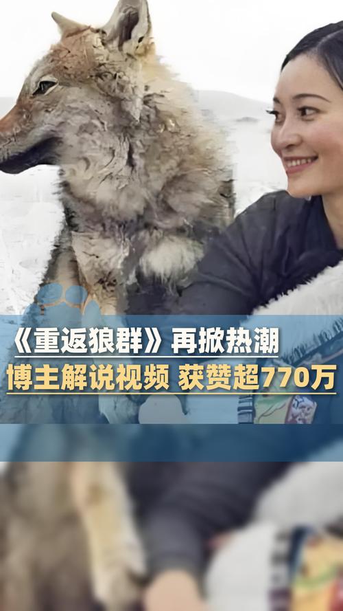 欧美丰满熟妇乱xxxx的相关介绍