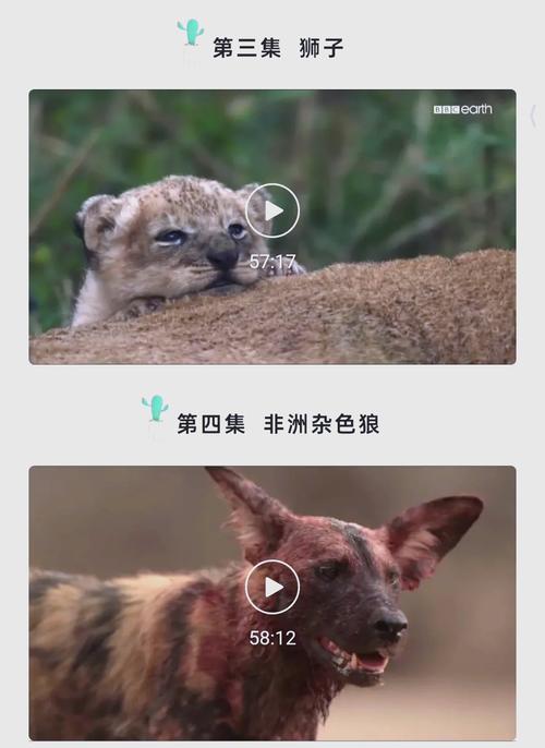 久久久午夜看片片的相关介绍