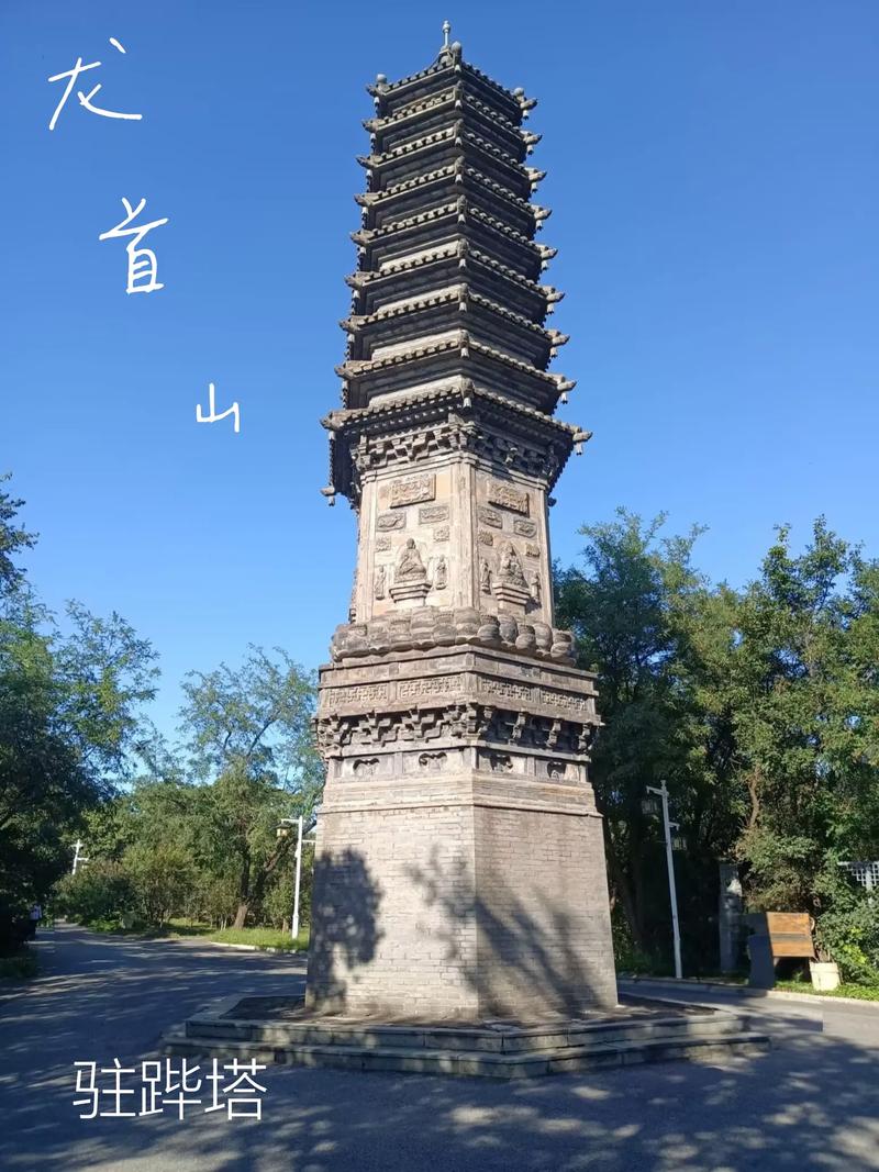 美女被狂插的相关介绍
