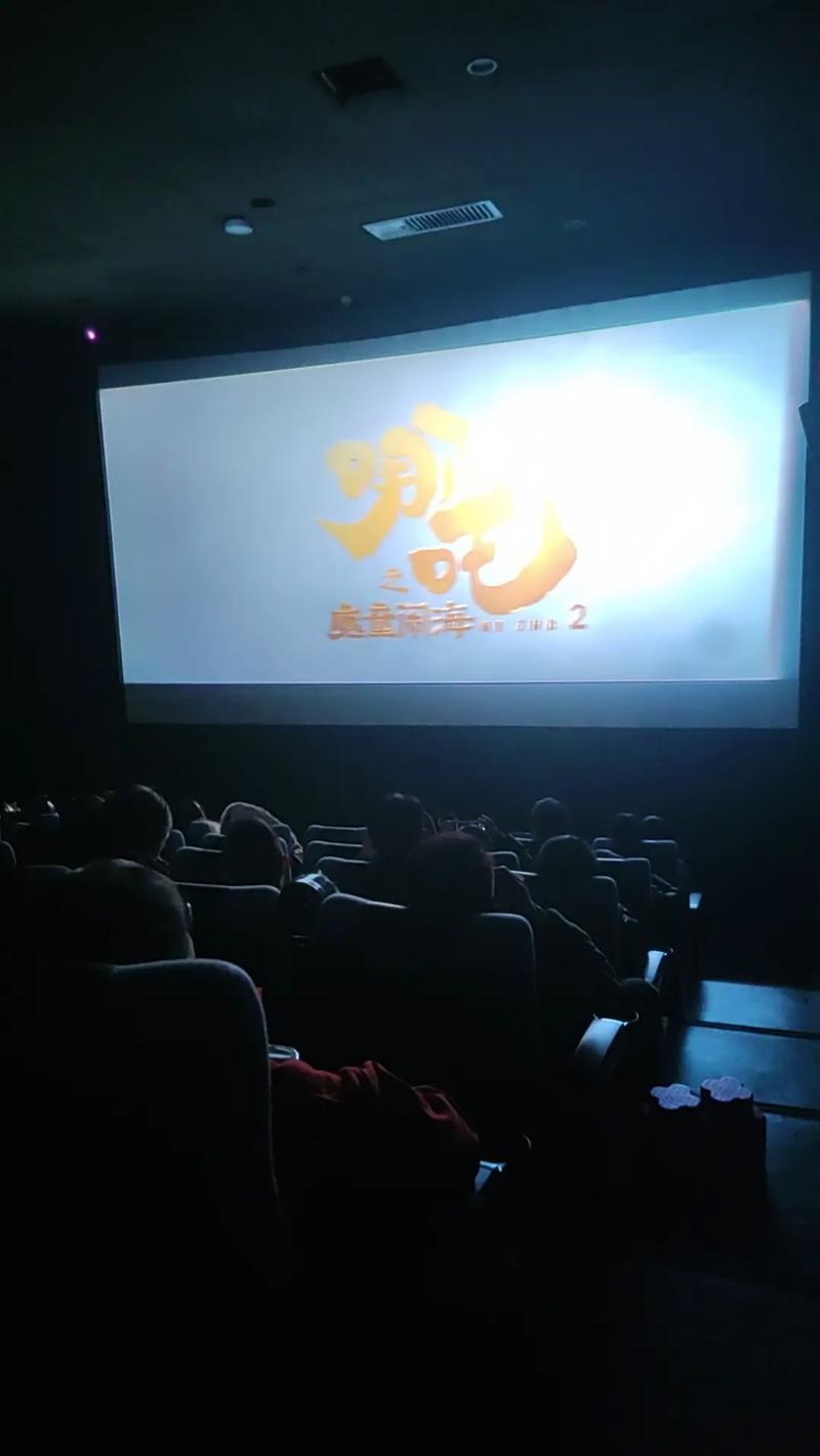 嘉兴电影院的相关介绍