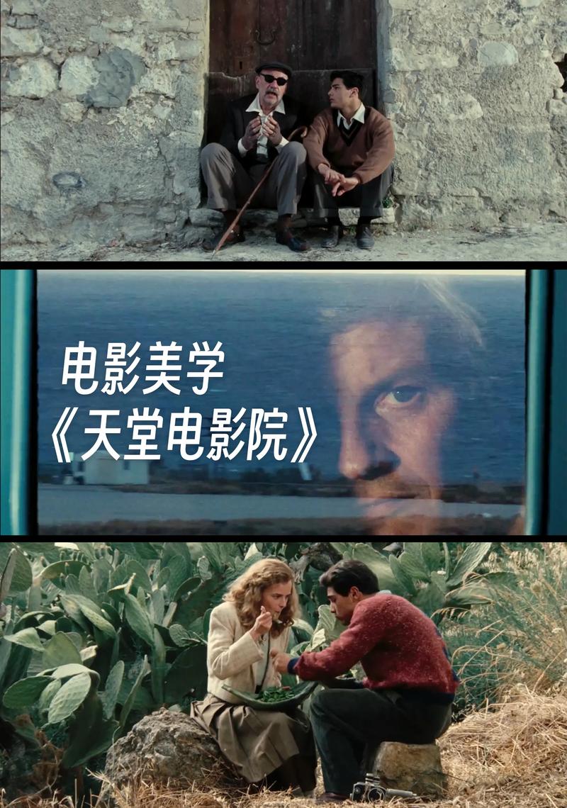 想看女人的逼的相关介绍