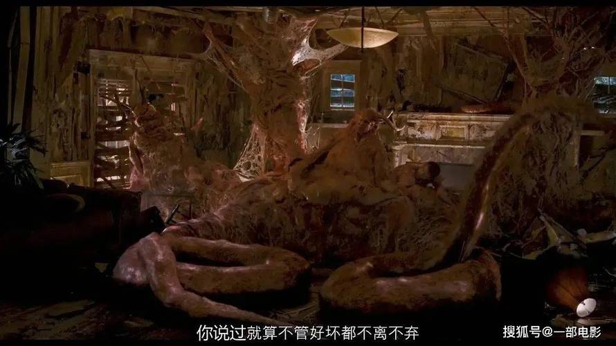 哚哚影院的相关介绍
