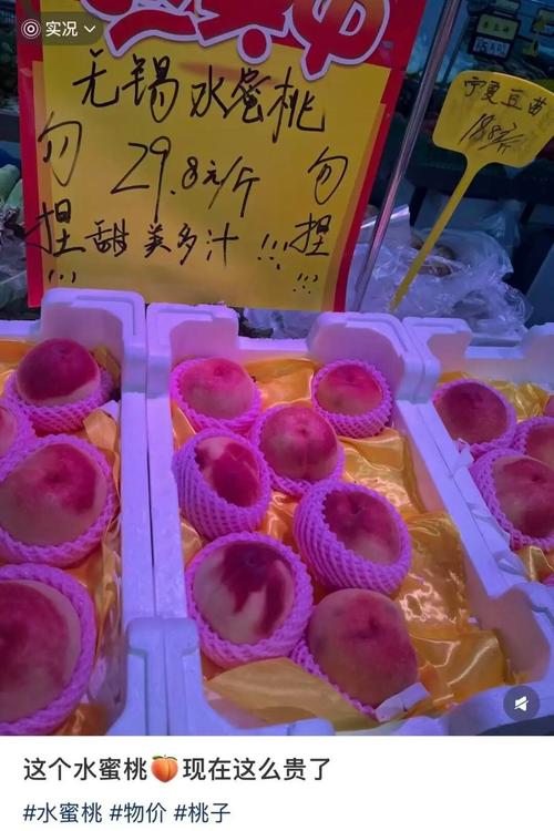 懂色av密色av的相关介绍