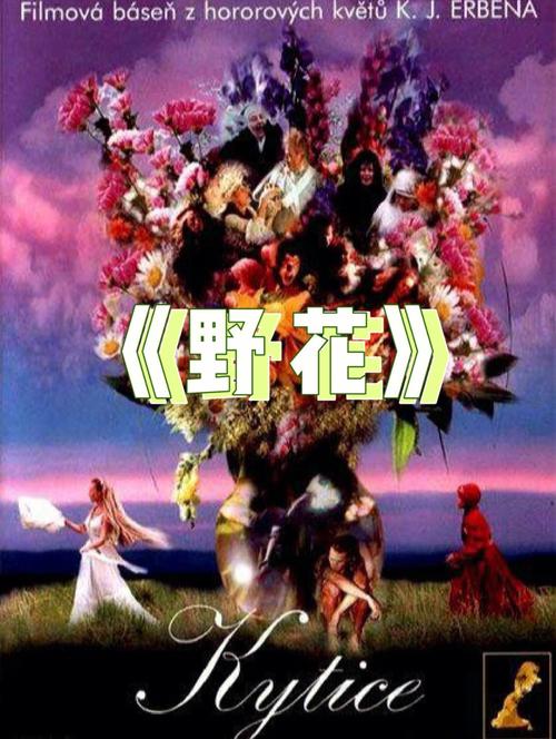 半岛影院的相关介绍