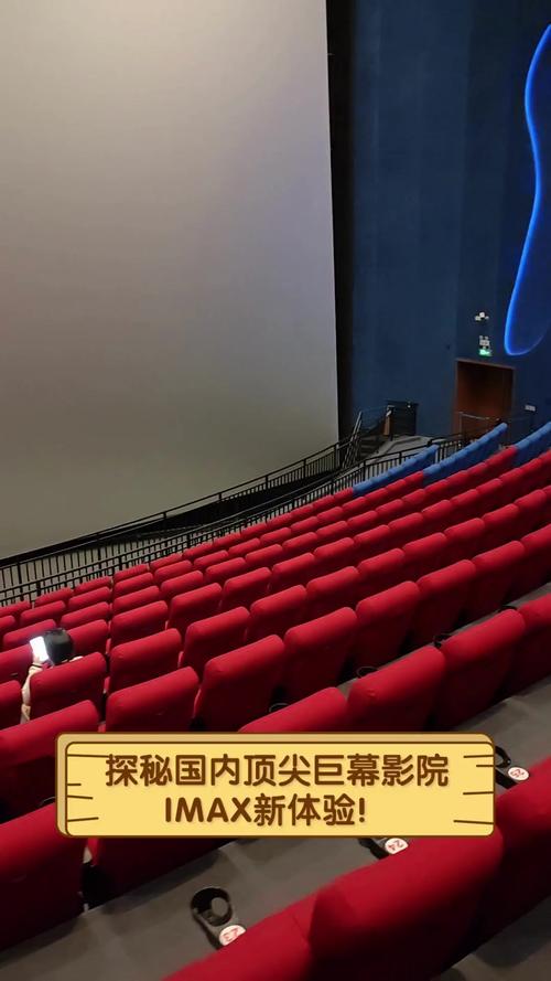 美女高潮白浆视频的相关介绍