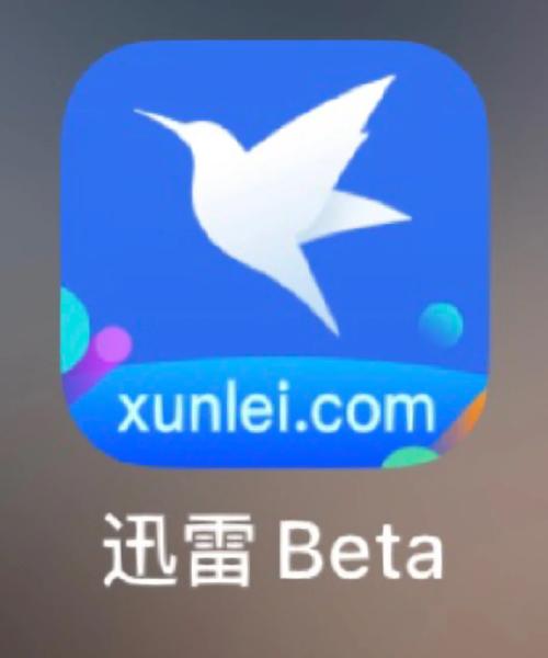 网袜av在线的相关介绍