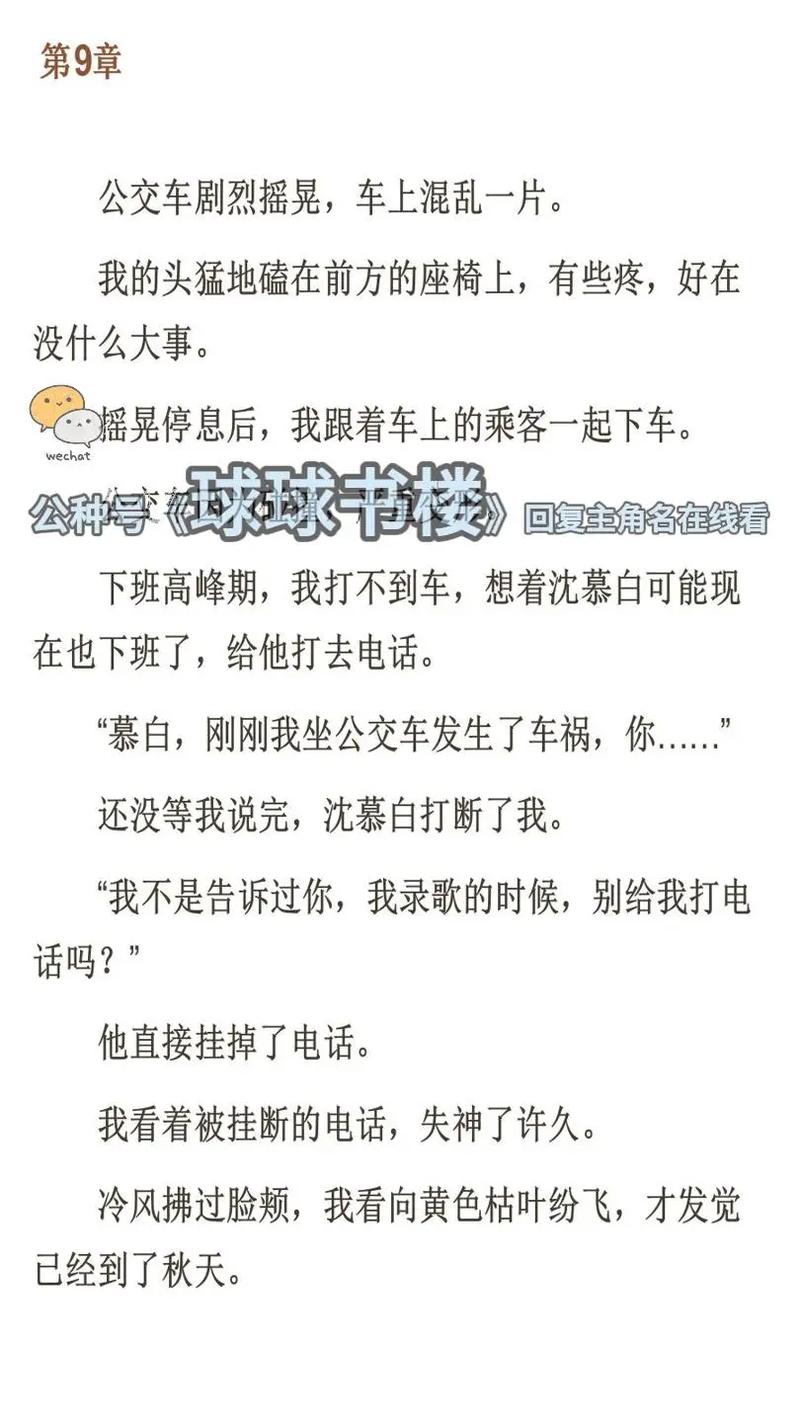 xoxo影院的相关介绍