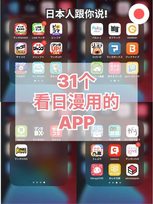国产盗摄毛片的相关介绍