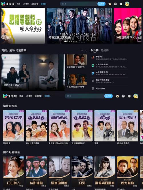 国产日产精品久久久久久婷婷的相关介绍