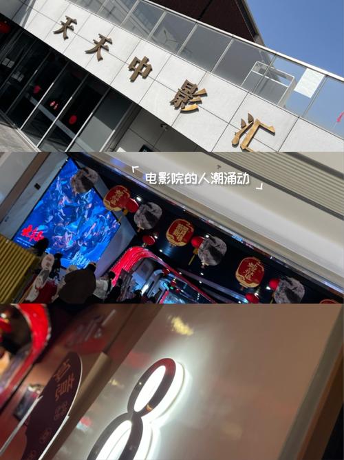 策驰影院 网站的相关介绍