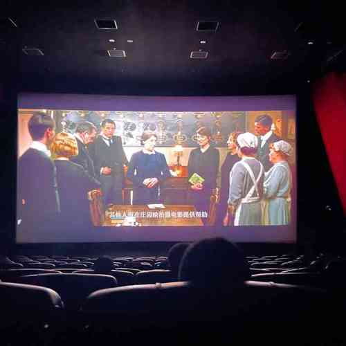 久久激情精品的相关介绍
