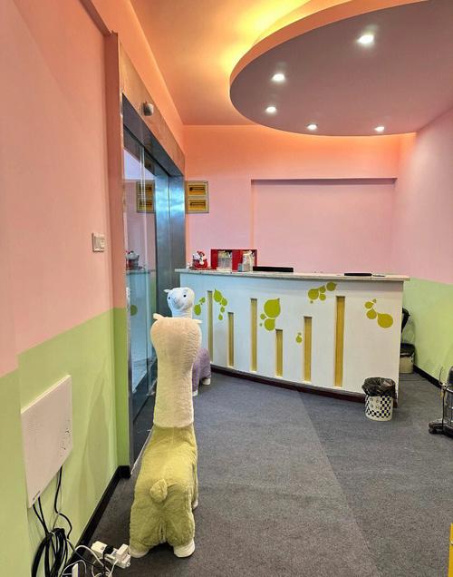免费观看成年女性的私密的相关介绍