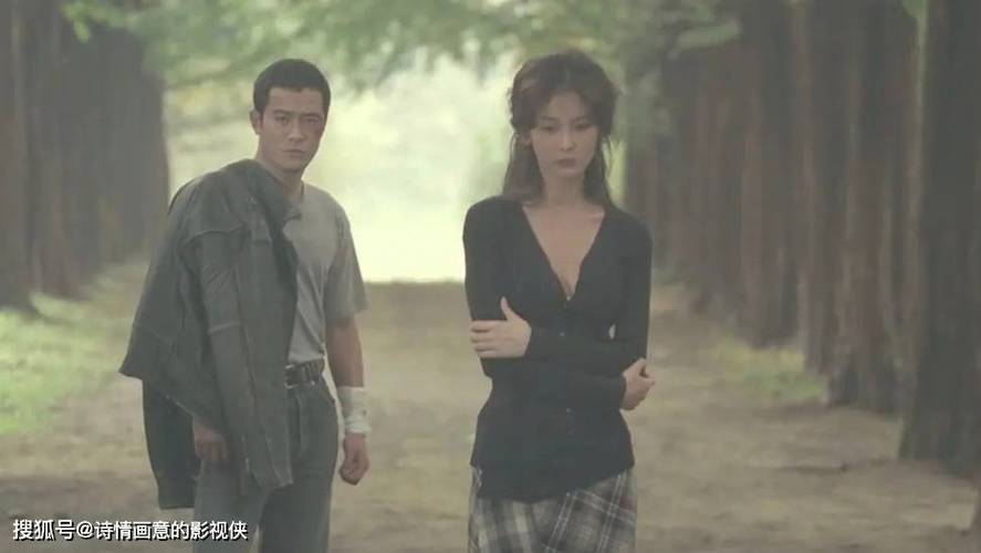 老湿影院费看的相关介绍