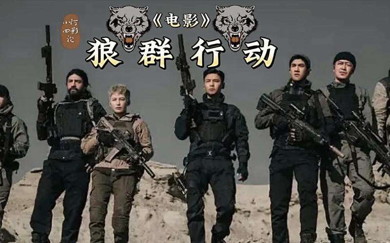 免费视频下载app推荐的相关介绍
