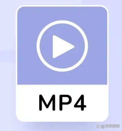 下载极速版app看视频的相关介绍