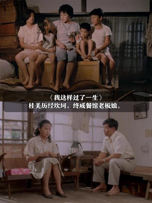 4080新视觉影院手机的相关介绍