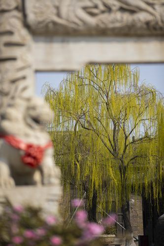 久久人体欧美的相关介绍