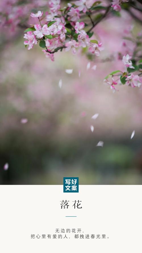 美女老师给我操的相关介绍
