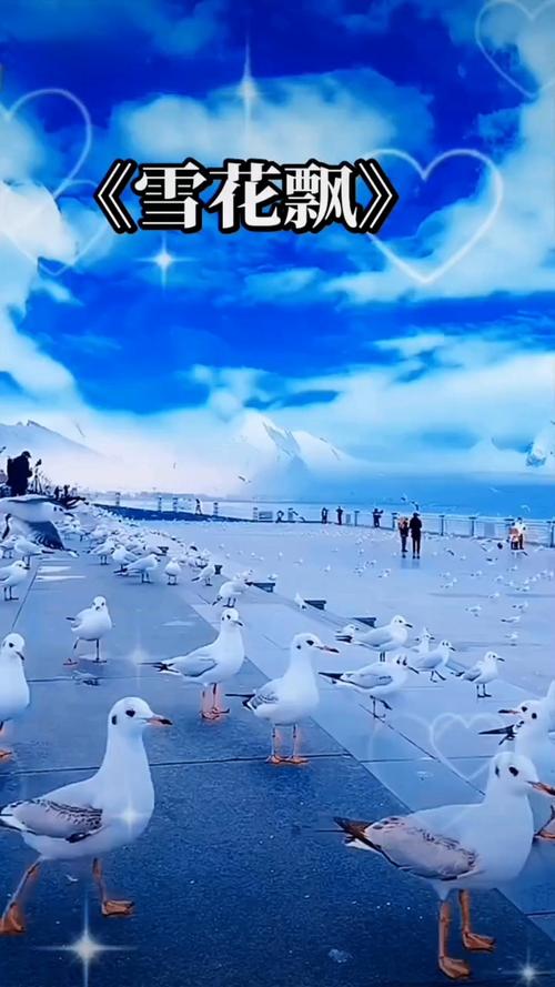 露脸各种姿势啪啪的清纯美女的相关介绍