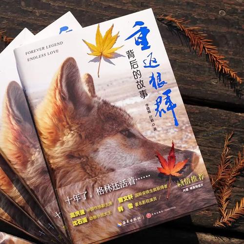 41312神马影院我的相关介绍