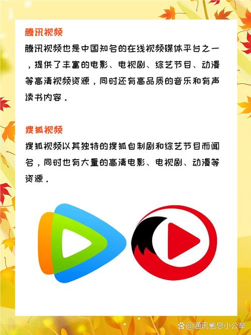 我操了我的女老师的相关介绍