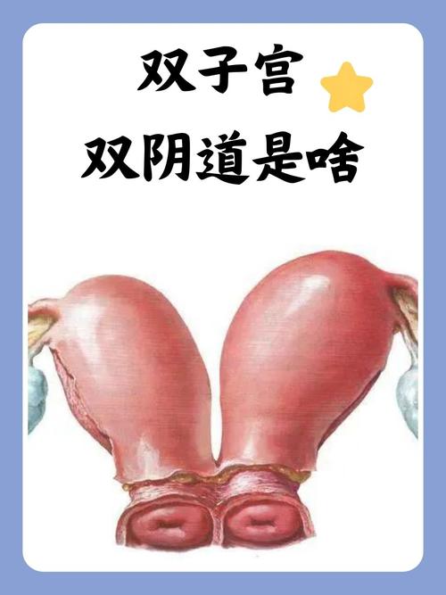 欧美va一区二区三区的相关介绍