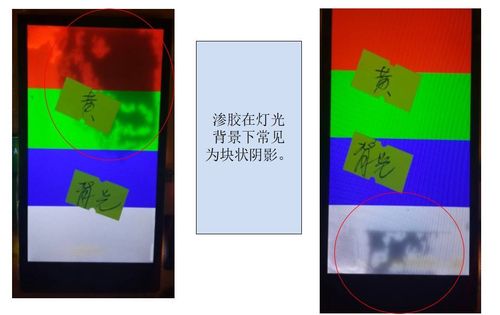 少妇aaaaaa片免费看的相关介绍
