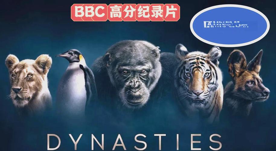18岁禁止免费观看网站的相关介绍