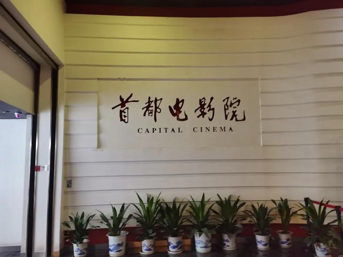 人妻中文啪啪啪的相关介绍