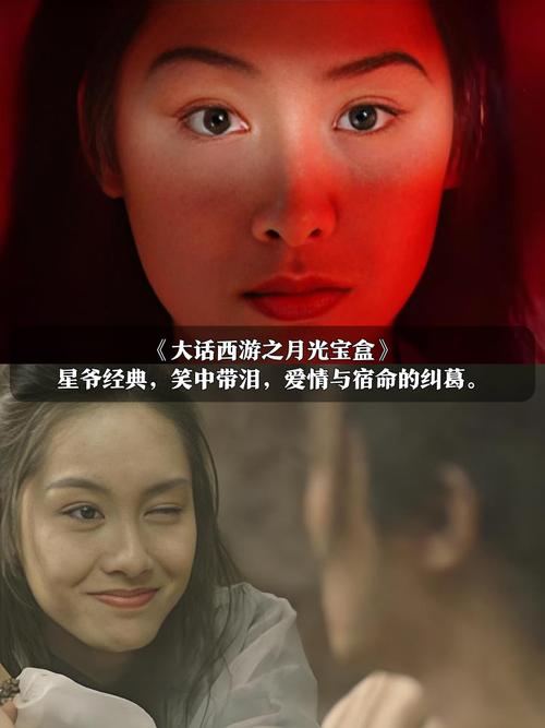 www.毛片在线看的相关介绍