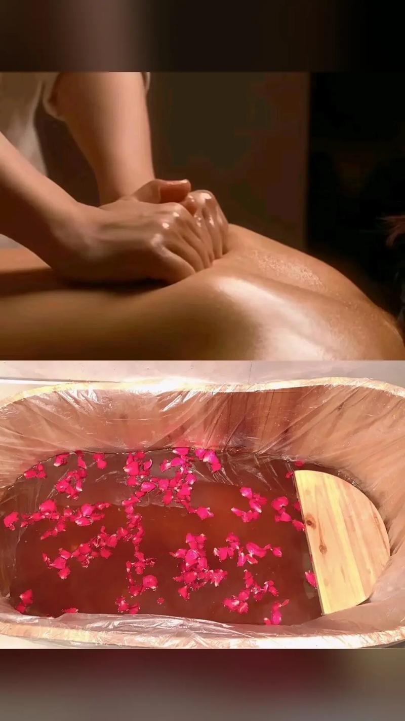 少妇熟女三区的相关介绍