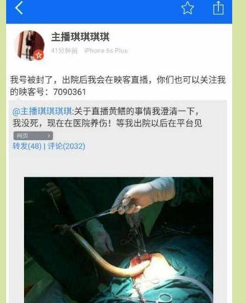 少妇 av的相关介绍