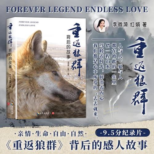 午夜伦理:福利的相关介绍