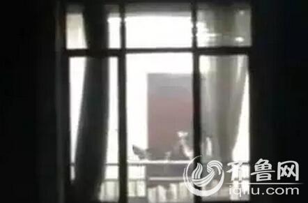 裸奸动漫的相关介绍