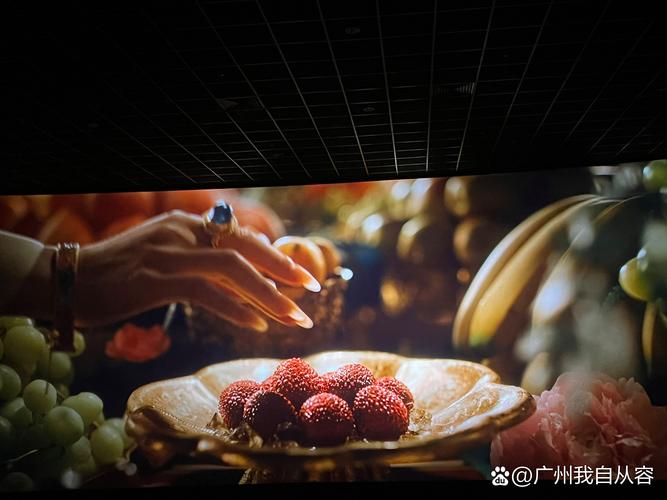 高h调教sm女奴小说的相关介绍